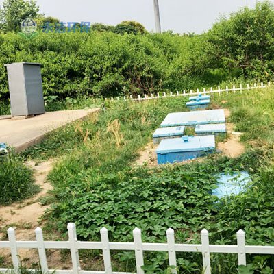 &#72;&#74;&#67;&#40644;&#37329;&#22478;