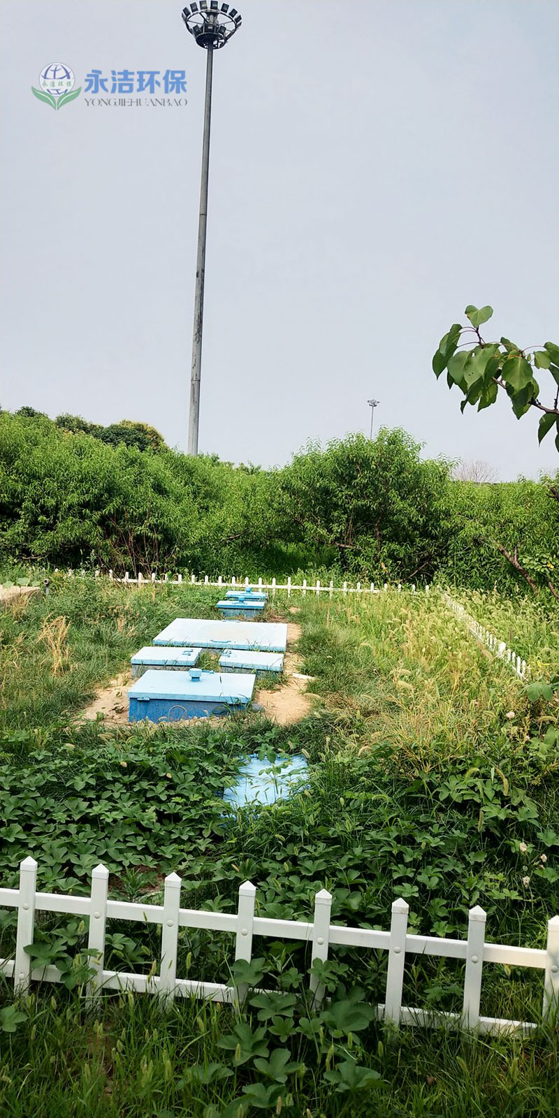 &#72;&#74;&#67;&#40644;&#37329;&#22478;